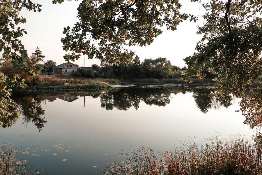 Trees reflected in a calm lake at the edge of a neighborhood