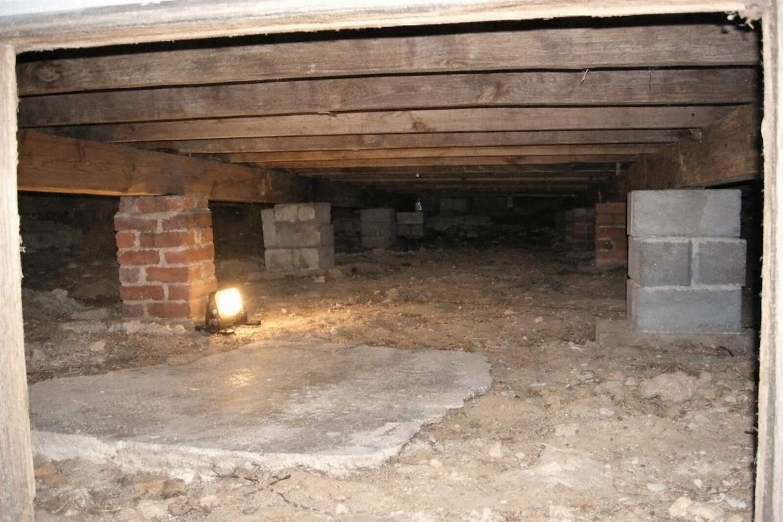 Exposed wooden floor beams above a bare concrete floor beneath a house